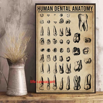Vintage Človekovih Zobni Anatomija Medical Dental Art Plakat Platno Stensko Slikarstvo Natisniti Sliko, Dnevna Soba, Pisarna Darilo Doma Dekor